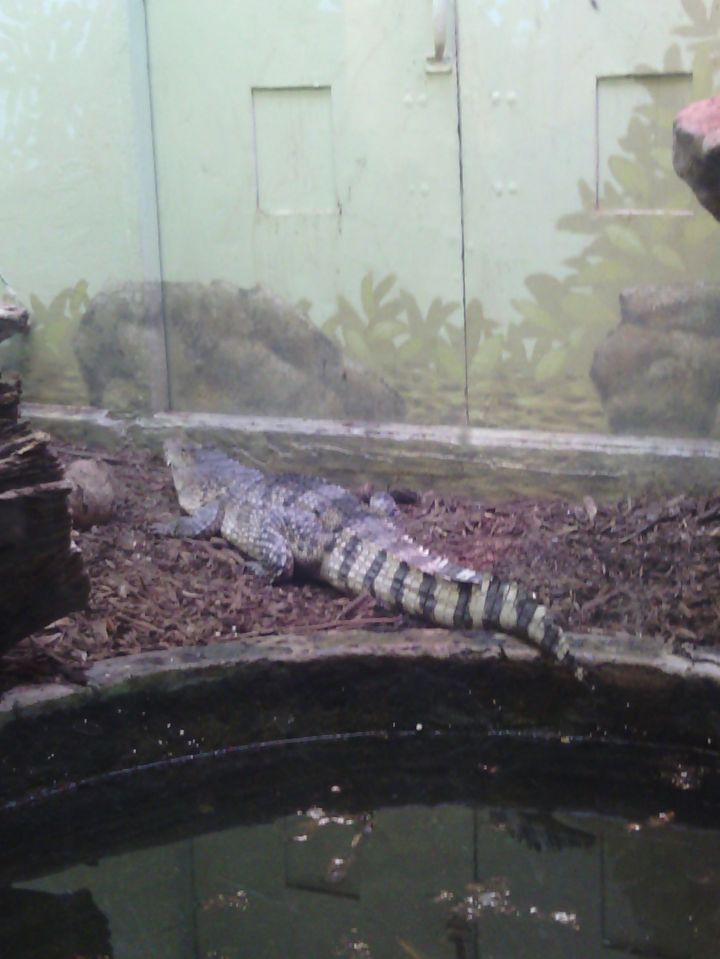 IMG_20141012_141442_445