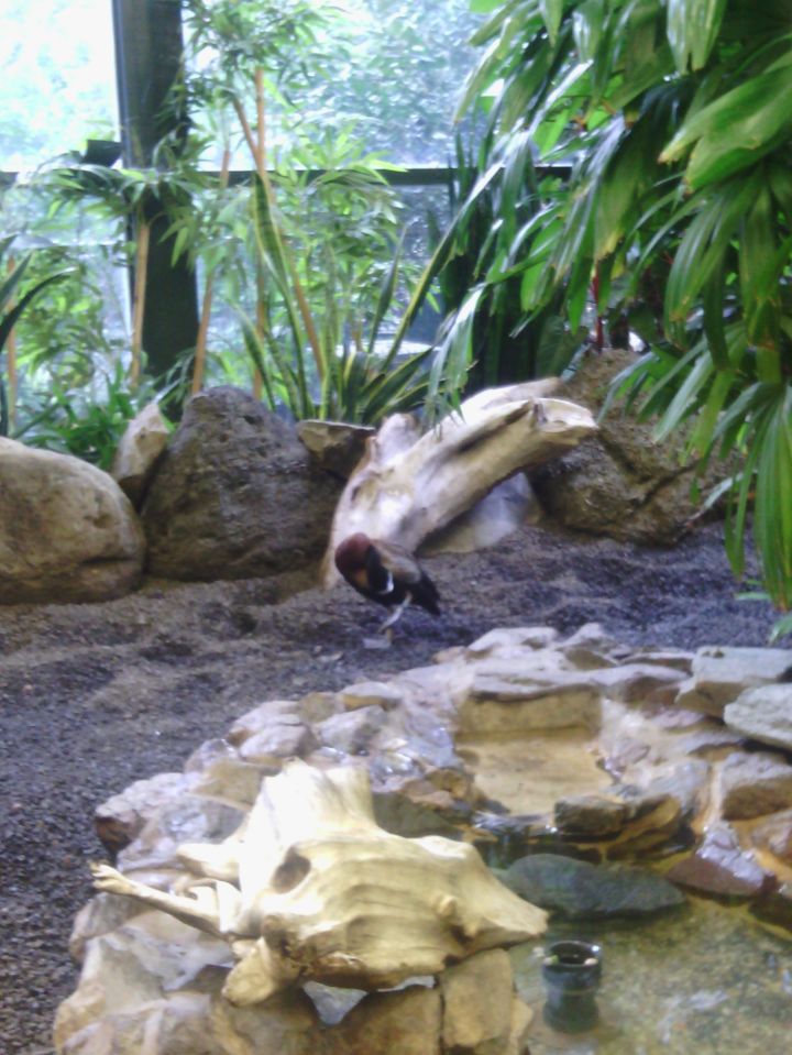 IMG_20141012_151327_578